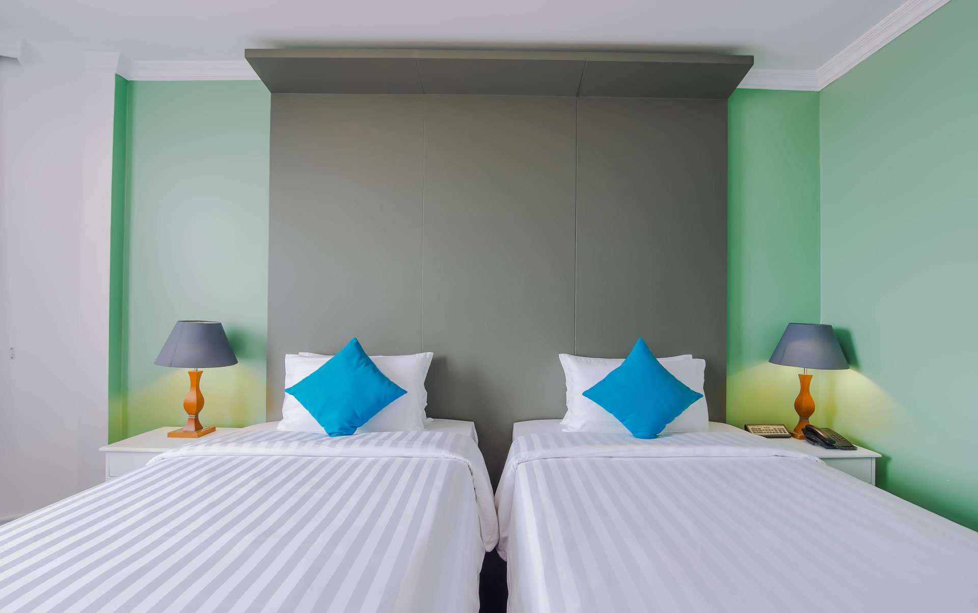DELUXE TWIN ROOM